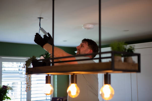 Best Electrician for Home Renovation  in Mount Vernon, IA